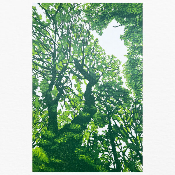 Summer Canopy
