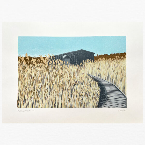 Hide and reeds