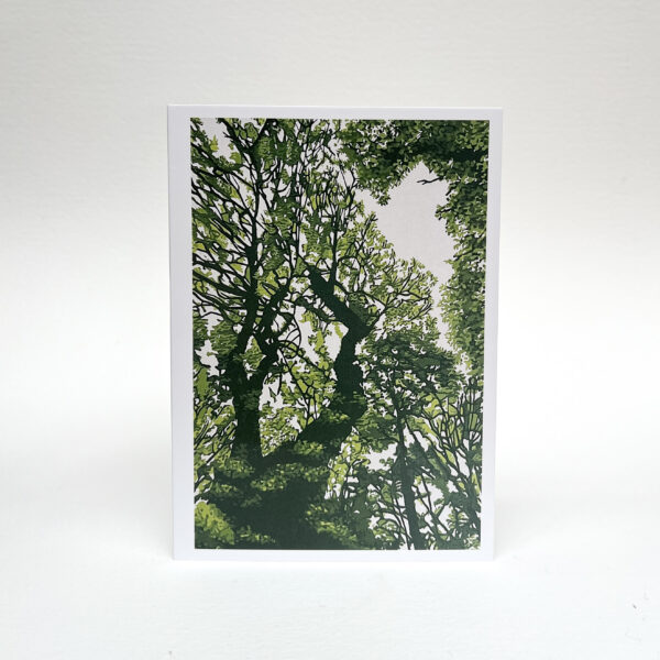 Summer Canopy card