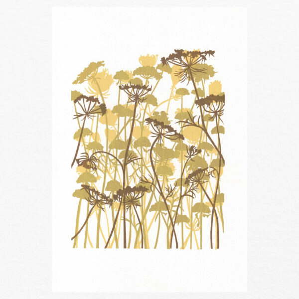 Grua meadow